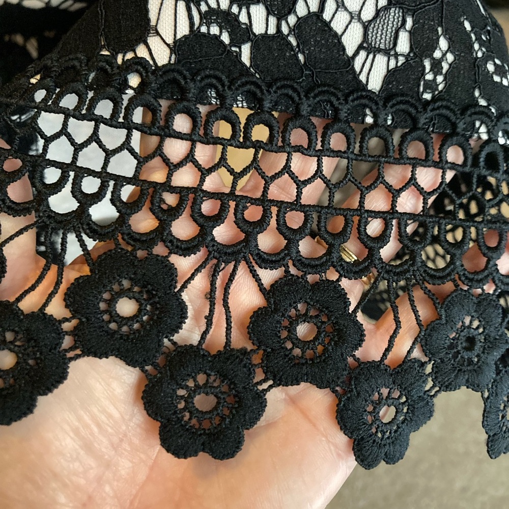 NWT: Donna Ricco black lace sleeveless dress, size 14 - Picture 5 of 12